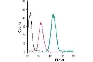 Cell surface detection of BAI1 in live intact human THP-1 monocytic leukemia cells: (black line) Cells. (BAI1 antibody  (Extracellular, N-Term) (FITC))