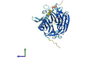 AlphaFold protein structure predicition of Human Recombinant KPTN Protein, UniprotID Q9Y664