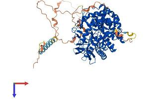 AlphaFold protein structure predicition of Human Recombinant MAN1C1 Protein, UniprotID Q9NR34 (MAN1C1 Protein (AA 1-630) (His tag))