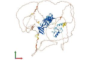 Protein Structure (PS) image for SH3 Domain Containing Ring Finger 2 (SH3RF2) (AA 1-729) protein (His tag) (ABIN7546168)