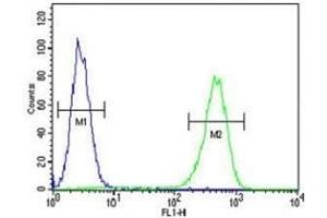 Flow Cytometry (FACS) image for anti-alpha-Methylacyl-CoA Racemase (AMACR) (AA 323-351) antibody (ABIN3029920)