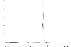 The purity of Human TRAIL is greater than 95 % as determined by SEC-HPLC. (TRAIL Protein (AA 114-281))