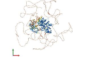 Protein Structure (PS) image for PAS Domain Containing Serine/threonine Kinase (PASK) (AA 1-1383) protein (His tag) (ABIN7564552)