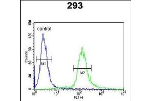 EPS8L3 Antibody (N-term) (ABIN390898 and ABIN2841105) flow cytometric analysis of 293 cells (right histogram) compared to a negative control cell (left histogram). (EPS8-Like 3 antibody  (N-Term))