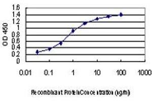 Detection limit for recombinant GST tagged FGFR2 is approximately 0. (FGFR2 antibody  (AA 621-723))