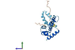 AlphaFold protein structure predicition of Human Recombinant CALML6 Protein, UniprotID Q8TD86 (CALML6 Protein (AA 1-181) (His tag))