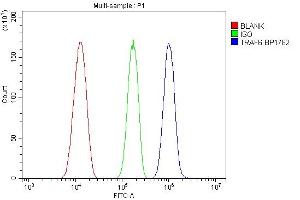 Flow Cytometry analysis of HEPA 1-6 cells using anti-TRAF6 antibody (ABIN7600026).