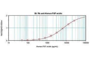 Image no. 2 for anti-Fibroblast Growth Factor 1 (Acidic) (FGF1) antibody (Biotin) (ABIN465423) (FGF1 antibody  (Biotin))