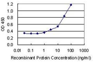Detection limit for recombinant GST tagged U2AF2 is 0. (U2AF2 antibody  (AA 141-240))