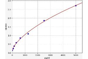 Typical standard curve (MNX1 ELISA Kit)