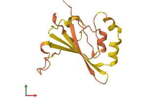 Protein Structure (PS) image for Transmembrane Phosphoinositide 3-Phosphatase and Tensin Homolog 2 Pseudogene 1 (TPTE2P1) (AA 1-138) protein (His tag) (ABIN7544671)