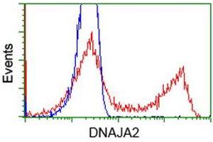 Image no. 1 for anti-DnaJ (Hsp40) Homolog, Subfamily A, Member 2 (DNAJA2) antibody (ABIN1497859)