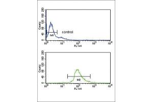 Flow Cytometry (FACS) image for anti-Dopachrome Tautomerase (DCT) antibody (ABIN3003902)