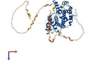 Cyclin A Protein (AA 1-432) (His tag)