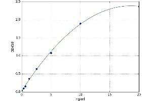 SMAD, Mothers Against DPP Homolog 1 (SMAD1) ELISA Kit