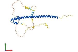 Protein Structure (PS) image for Neural Retina Leucine Zipper (NRL) (AA 1-237) protein (His tag) (ABIN7556174)