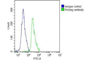 Overlay histogram showing Jurkat cells stained with Antibody (green line). (Cadherin 5 antibody  (N-Term))