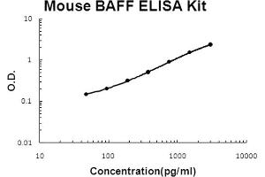 Mouse BAFF Accusignal ELISA Kit Mouse BAFF AccuSignal ELISA Kit standard curve. (BAFF ELISA Kit)