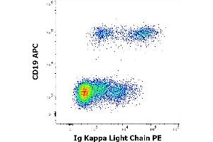 Flow cytometry multicolor surface staining of human lymphocytes stained using anti-human Ig Kappa Light Chain (TB28-2) PE antibody (10 μL reagent / 100 μL of peripheral whole blood) and anti-human CD19 (LT19) APC antibody (10 μL reagent / 100 μL of peripheral whole blood).