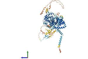 AlphaFold protein structure predicition of Mouse Recombinant Ddx54 Protein, UniprotID Q8K4L0 (DDX54 Protein (AA 1-874) (His tag))