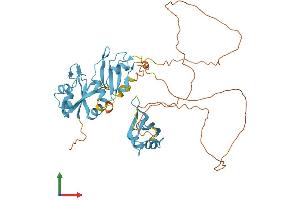 AlphaFold protein structure predicition of Human Recombinant HNRNPH1 Protein, UniprotID P31943