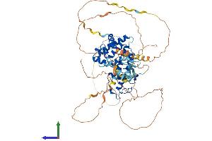AlphaFold protein structure predicition of Human Recombinant NR1D1 Protein, UniprotID P20393