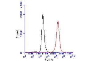 CD81 antibody