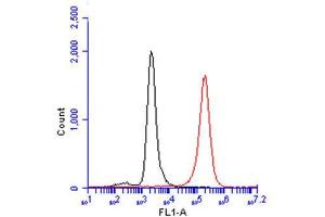 FACS Image CD81 antibody , detects CD81 protein by flow cytometry analysis.
