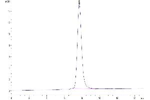 The purity of Mouse IL-3 is greater than 95 % as determined by SEC-HPLC.
