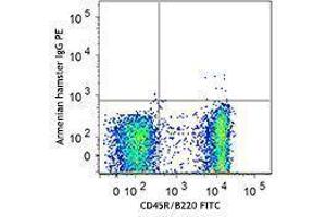 Flow Cytometry (FACS) image for anti-B and T Lymphocyte Associated (BTLA) antibody (PE) (ABIN2662568) (BTLA antibody  (PE))