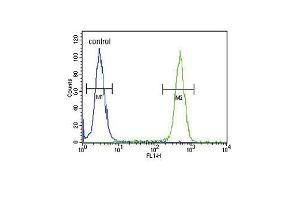 Flow Cytometry (FACS) image for anti-Acetylserotonin O-Methyltransferase (ASMT) (AA 212-241) antibody (ABIN650987)
