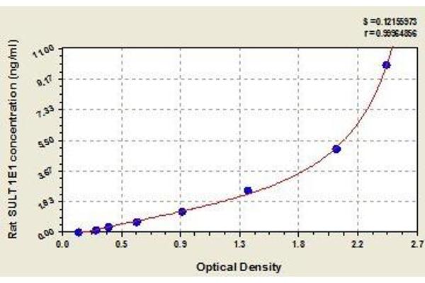 SULT1E1 ELISA Kit