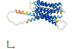AlphaFold protein structure predicition of Mouse Recombinant Slc39a9 Protein, UniprotID Q8BFU1