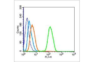 MCF 7 cells were fixed with 70% ice-cold methanol overnight at 4℃, permeabilized with 90% ice-cold methanol for 20 min at -20℃, and incubated in 5% BSA blocking buffer for 30 min at room temperature. (Histone 3 antibody  (pSer11))