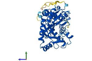 AlphaFold protein structure predicition of Mouse Recombinant Ttl Protein, UniprotID P38585