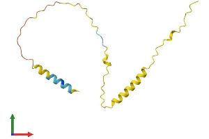 Protein Structure (PS) image for Brain Expressed, X-Linked 4 (BEX4) (AA 1-118) protein (His tag) (ABIN7560683)