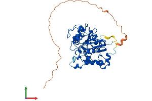 AlphaFold protein structure predicition of Mouse Recombinant St6galnac2 Protein, UniprotID P70277
