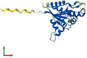 Protein Structure (PS) image for phosphopantothenoylcysteine Decarboxylase (PPCDC) (AA 1-204) protein (His tag) (ABIN7559036)