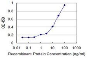 Detection limit for recombinant GST tagged FMNL1 is 0. (Formin-Like 1 antibody  (AA 893-991))