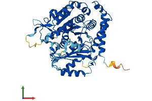 Protein Structure (PS) image for Tubulin, alpha 4a (TUBA4A) (AA 1-448) protein (His tag) (ABIN7544140)