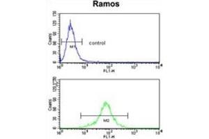 Flow Cytometry (FACS) image for anti-6-phosphogluconolactonase (PGLS) antibody (ABIN3001729) (PGLS antibody)