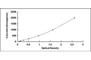 Typical standard curve (Laminin beta 1 ELISA Kit)