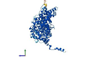Protein Structure (PS) image for Acyl-CoA Oxidase 1, Palmitoyl (ACOX1) (AA 1-660) protein (His tag) (ABIN7551946)