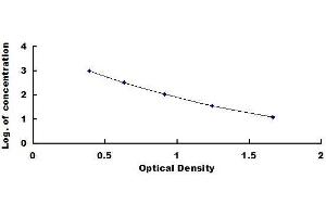 Typical standard curve