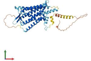 AlphaFold protein structure predicition of Human Recombinant TACR1 Protein, UniprotID P25103 (TACR1 Protein (AA 1-407) (His tag))