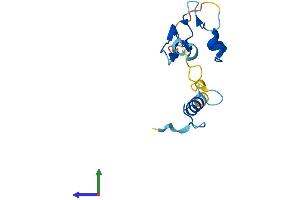 AlphaFold protein structure predicition of Human Recombinant NANOS2 Protein, UniprotID P60321