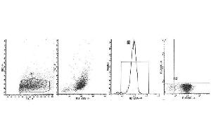 Image no. 1 for anti-Integrin, alpha E (Antigen CD103, Human Mucosal Lymphocyte Antigen 1, alpha Polypeptide) (ITGAE) antibody (PerCP-Cy5.5) (ABIN1105732) (CD103 antibody  (PerCP-Cy5.5))