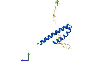 AlphaFold protein structure predicition of Mouse Recombinant Cdk2ap1 Protein, UniprotID O35207 (CDK2AP1 Protein (AA 1-114) (His tag))