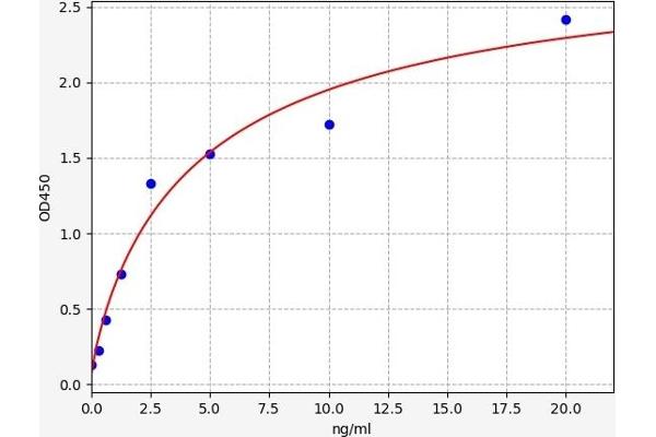 RIPK3 ELISA Kit