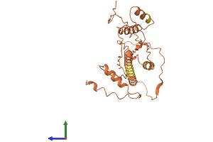 AlphaFold protein structure predicition of Human Recombinant FAM87A Protein, UniprotID P0C7U9 (FAM87A Protein (AA 1-286) (His tag))